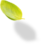 tree-7 tree-7