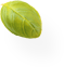 tree-8 tree-8